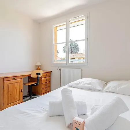 Charming House With 3 Bedrooms Garden And Terrace 圖盧茲