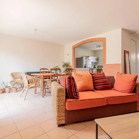 度假居 Charming House With 3 Bedrooms Garden And Terrace 圖盧茲